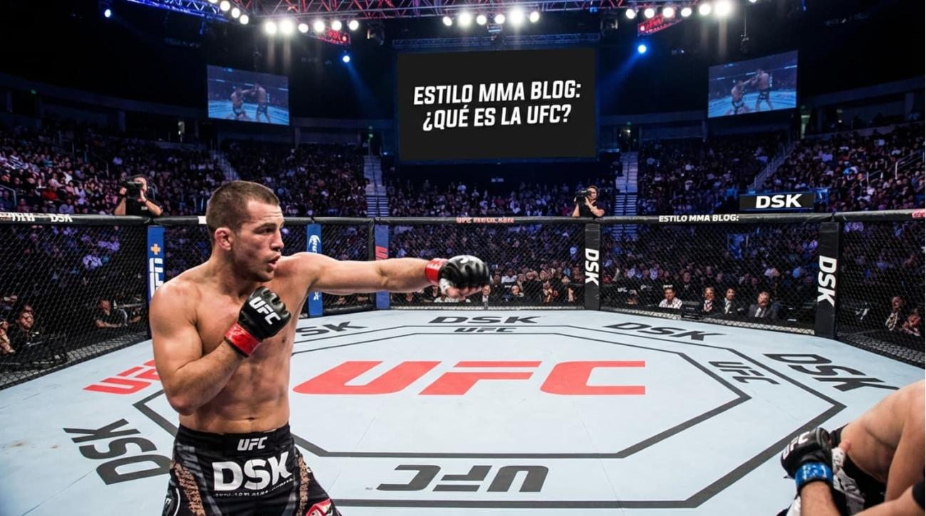 Wat is UFC?